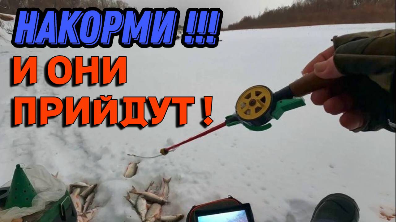 НАКОРМИ !!! И ОНИ ПРИЙДУТ ! Рыбалка на Оби в протоке 22 января 2025г. смотреть онлайн