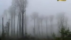 Ни пуха, ни пера! Охота на глухаря на току.