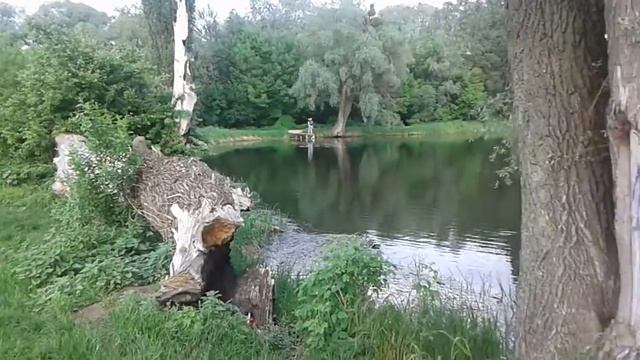 Речка Ирпень.Шлюз 6я-линия.2 смотреть онлайн