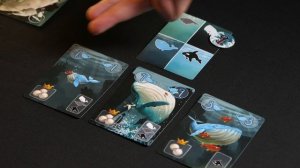 КОЗЫРНЫЕ КИТЫ. Обзор и правила настольной игры от Эврикус