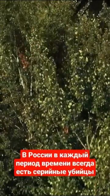 В России сейчас около 30 маньяков #shorts #опер #крайм смотреть онлайн