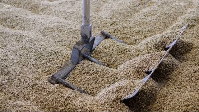 Portland company produces world’s first barley milk смотреть онлайн