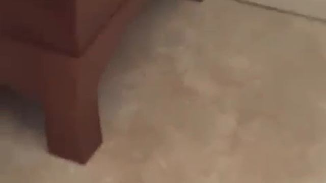 How to Cope Baseboard with Randy from R Squared Renovations смотреть онлайн