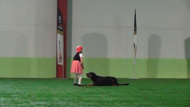 Лобастова Мария и босерон ИСТГААРД АРВЕН. Новички