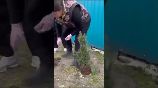 Общественный проект 31 Потока г Ростова-на-Дону смотреть онлайн
