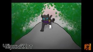 ТОП 6 ЛУЧШИХ ПРЕДВОДИТЕЛЕЙ|Коты воители