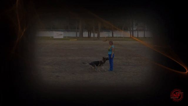 Кубок дружбы по IGP-3 2019.