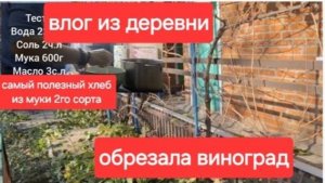 122//Влог из деревни.Самый полезный хлеб.Рецепт.Обрезала виноград.