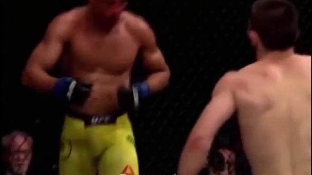 Эдсон Барбоза VS Хабиб Нурмагомедов смотреть онлайн