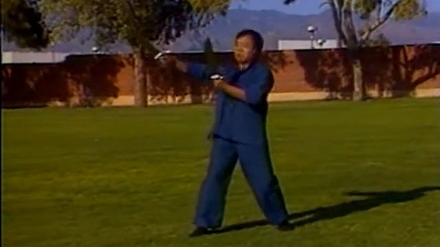 Wing Chun Luk Dim Boon Gwun + Baat Jaam Dao (Augustine Fong) | Ho Kam Ming смотреть онлайн