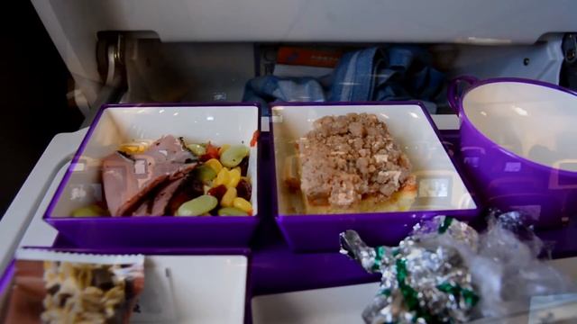 China Southern Premium Economy CZ300 JFK To Guangzhou