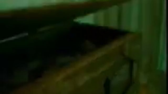 reklama Siemens C55 - wampir смотреть онлайн