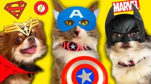 Черные силы против питомцев! 24 часа как супергерои 🌑⚡