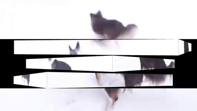 Меджик Петс в поисках новогодней ёлки для Меджик Хауса🐶🎄🔮(фан Ани Меджик) смотреть онлайн