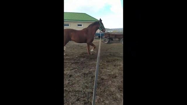 нравится контент? смотреть онлайн