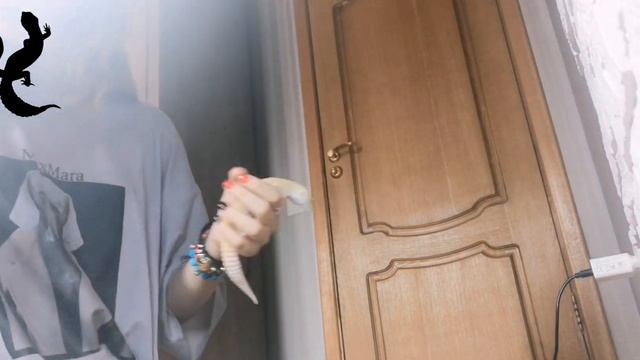 Как я делаю фотографии эублефара|Ускоренный процесс съёмок смотреть онлайн