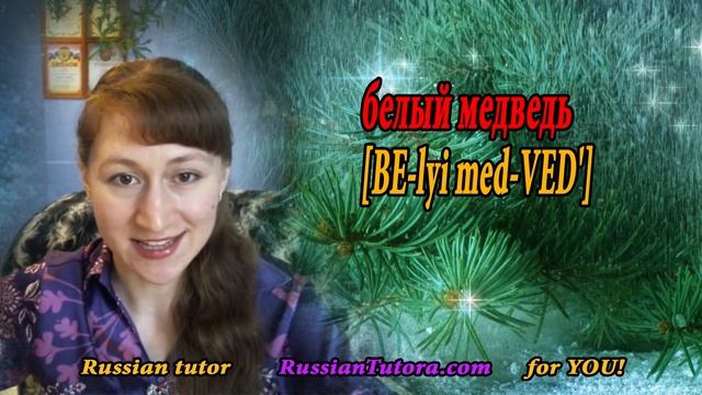 Russian word for polar bear | Polar bear in Russian translation or How to say polar bear in Russian смотреть онлайн