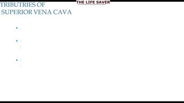 SUPERIOR VENA CAVA # FORMATION/COURSE/ IMP RELATIONS/TRIBUTARIES# SVC ( OBSTRUCTION ,SYNDROME) смотреть онлайн
