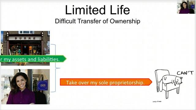 Forms of Business Ownership - Sole Proprietorship - Video Slides 14-15 смотреть онлайн