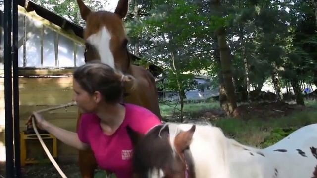 un cube dans mon jardin ... le CUBE fait sa pub смотреть онлайн