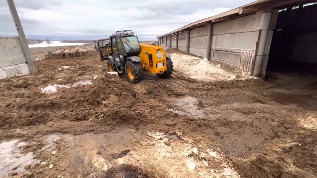 Хозяйство Идиятуллина/ Много работы при подготовки к весне/ В хозяйстве новое приобретение смотреть онлайн