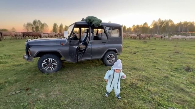 Работа на хозяйстве кипит | Делаем всё для удобства Башкирским лошадям смотреть онлайн