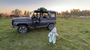 Работа на хозяйстве кипит | Делаем всё для удобства Башкирским лошадям