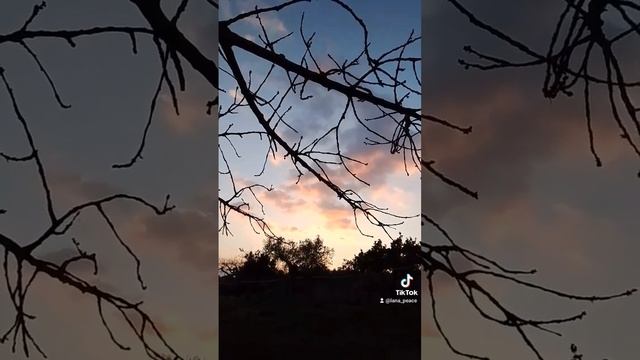 #videoщоденник_Lana #videoщоденникLana2_24 смотреть онлайн
