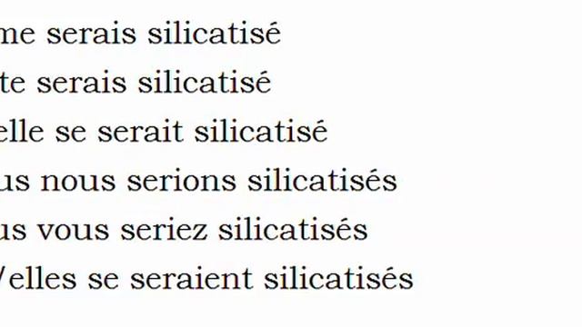 Изучение французского языка = Спряжение глаголов = Se silicatiser смотреть онлайн
