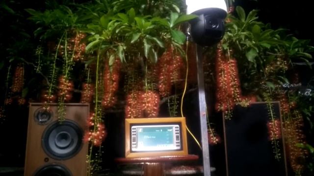 Vern Gosdin - Test Loa Pháp 3 Đường Tiếng смотреть онлайн