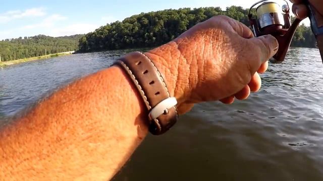 Surprise While Bluegill Fishing - Big Fish For 2 lb Line смотреть онлайн