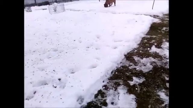 Мой фильм смотреть онлайн
