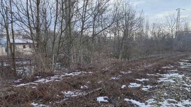 Живот в изоставени сгради на подрайон Шумен смотреть онлайн