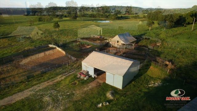 3 bedroom, 3 Bath, Office, Deck, 2 Car Garage, Horse Barn, 95 +/- Acres, Mt Pleasant, AR, $950,000 смотреть онлайн