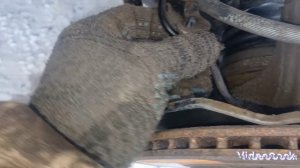 хонда фит, замена резиновых опор передних стоек.