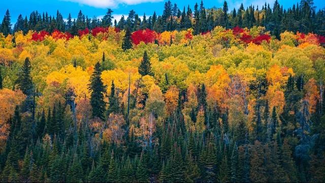 14 Приятие и сдача Экхарт Толле Сила настоящего момента смотреть онлайн