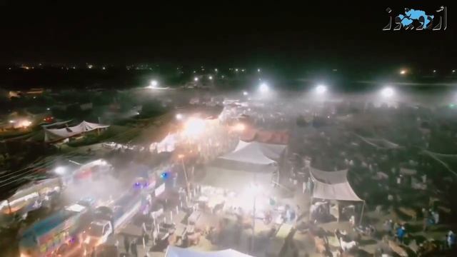 E-Cattle Market, Pakistan's first online livestock market смотреть онлайн