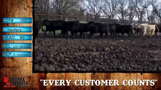 lot 102 broadcast смотреть онлайн