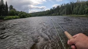 Рыбалка Вишера июль 2023 . Хариус , сплав от 71кв до Велса