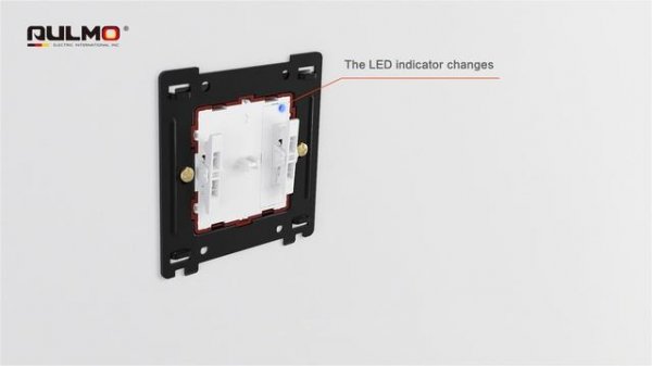 Aulmo switch and socket Installation instructions L series （wall switch）