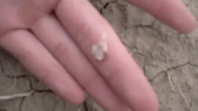 Arrowhead Hunting NM смотреть онлайн