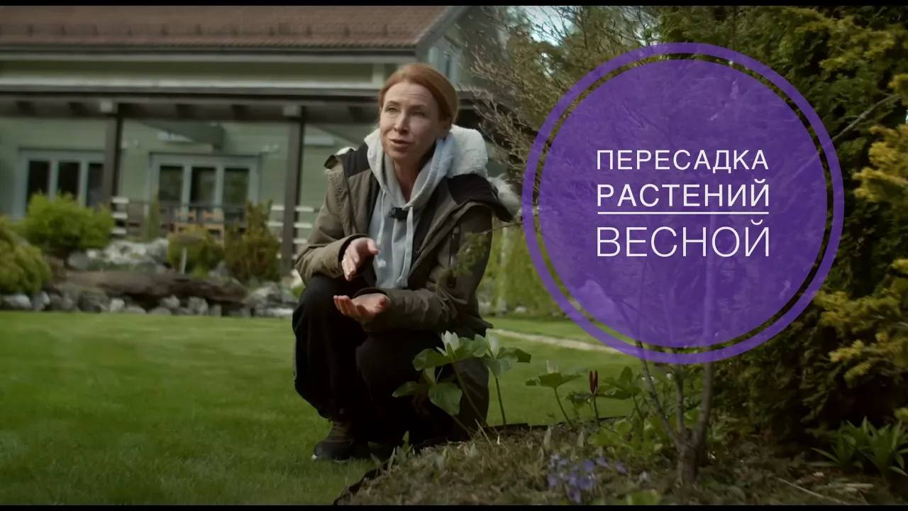 ПЕРЕСАДКА РАСТЕНИЙ ВЕСНОЙ. Что Обязательно надо знать! смотреть онлайн