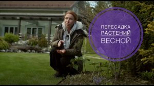 ПЕРЕСАДКА РАСТЕНИЙ ВЕСНОЙ. Что Обязательно надо знать!