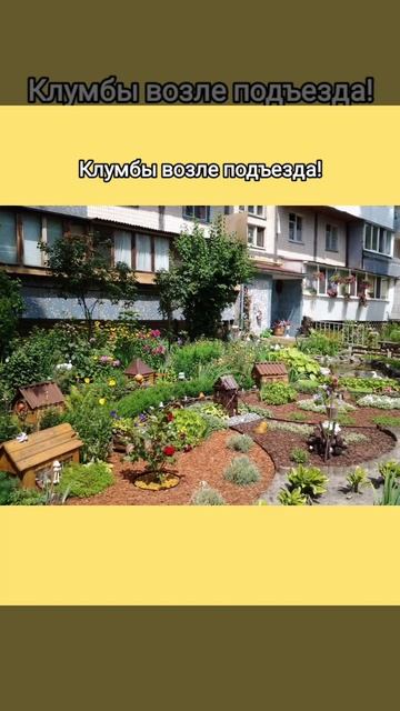 Клумбы возле подъезда! Идеи смотреть онлайн