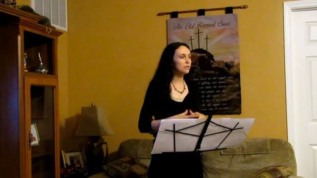 Shannen Logue Informative Speech: Business Analyst смотреть онлайн