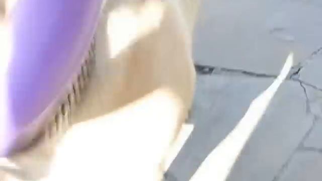 Ка де Бо Валуар - 5 месяцев.Питомник 