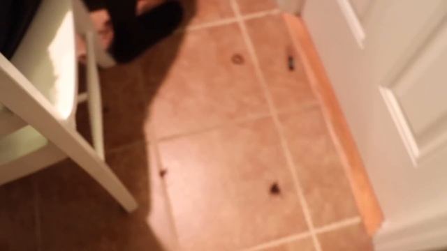 SHAVING MY BOYFRIENDS HAIR.. No Stylist? No Problem Hehe! смотреть онлайн