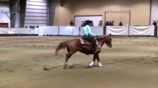 Neat Little Gal Rein смотреть онлайн