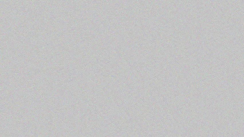 🔴LIVE🔴 Брестский аист, Душевая, лебедь