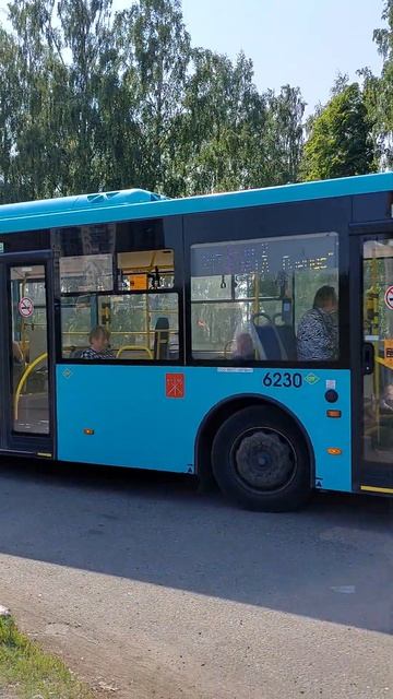 Автобус волгобас 5270.G2 по 247 маршруту в пос.Бугры 2 #спб #транспорт #автобус@ТроллейбусОнелав смотреть онлайн